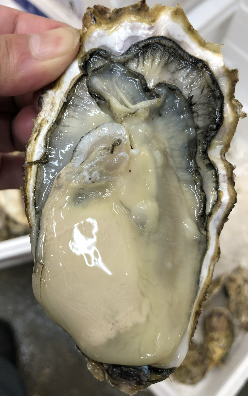 こだわり